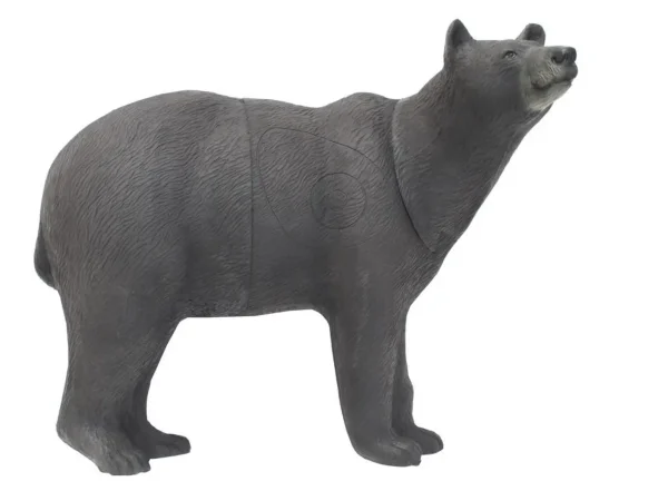3D SRT BROWN BEAR - RJAVI MEDVED